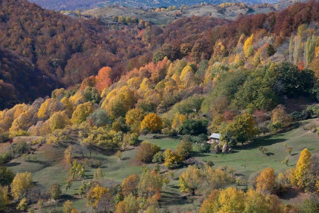 Valley View Breaza Eksteriør billede