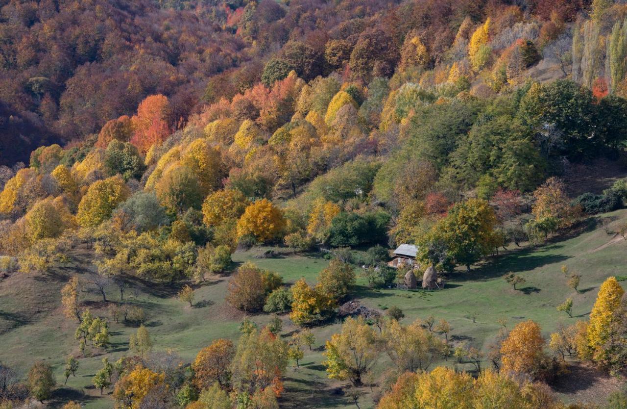 Valley View Breaza Eksteriør billede